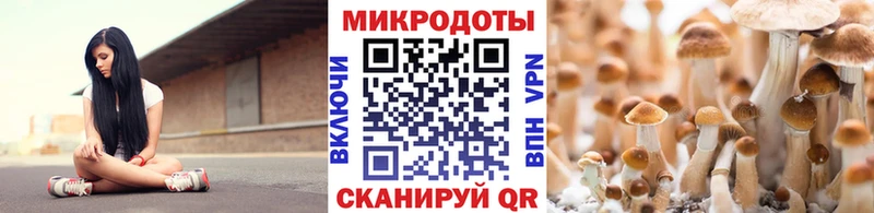 Псилоцибиновые грибы Cubensis  Ветлуга 